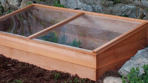 Tabletop Cold Frame Cold Frames: What They Are and How To Use Them | Christie Purifoy